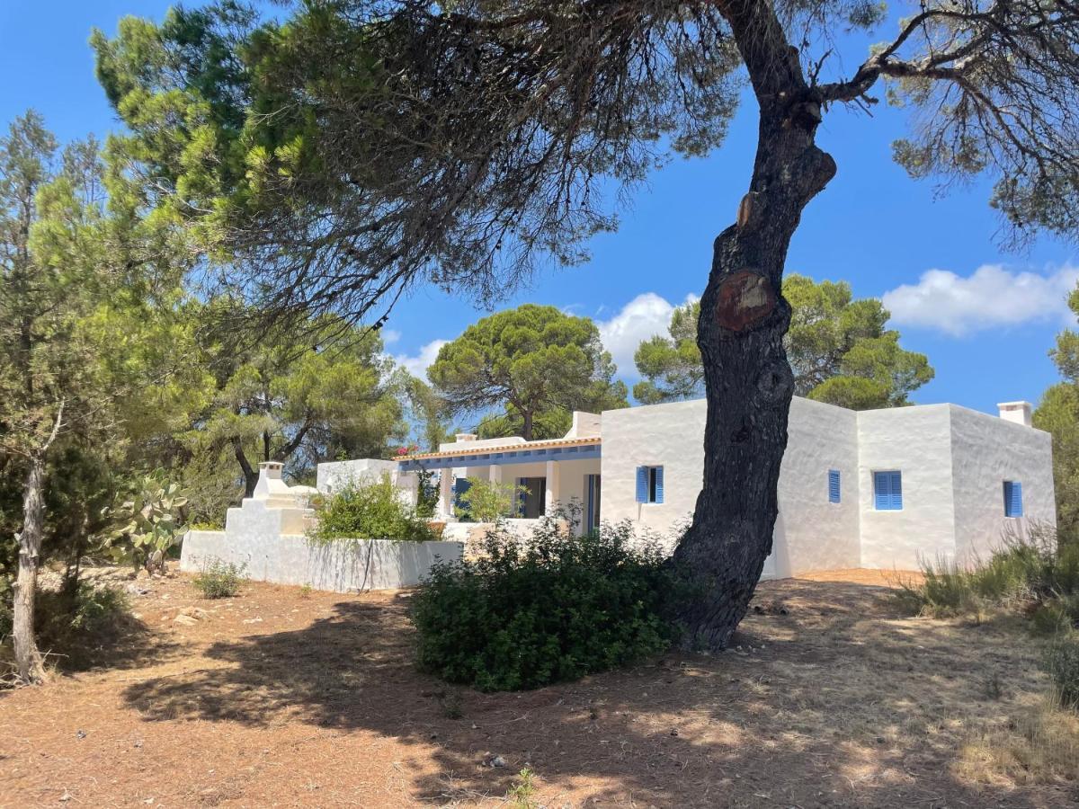 Sa Tanca Des Pla Villa San Francisco Javier Buitenkant foto